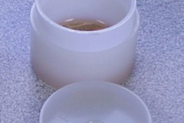 P2 DISP PL CUPS W HOLES