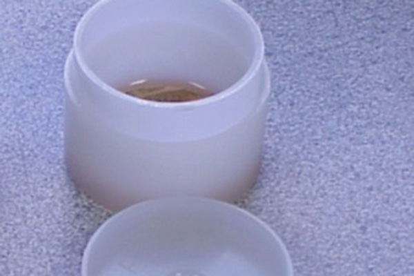 P2 DISP PL CUPS W HOLES P2 DISP PL CUPS W HOLES